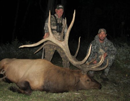 wta_80__featured_P0QARS_006Elk(2)