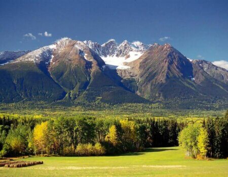 wta_826_B06B0K_283_blackbear-12