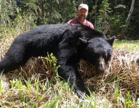 wta_826_PW47RN_283_blackbear-2