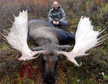 wta_829_00KMVL_082_moose-4