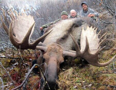 wta_829_1XN60P_082_akykmoose-2