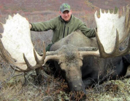 wta_829_4P2M0N_082_moose-2