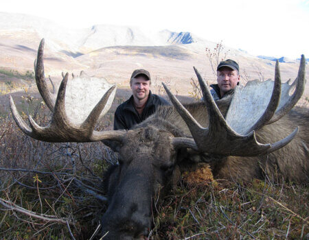 wta_829_G39G2P_moose9