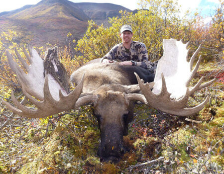 wta_829_K9TQSX_moose1