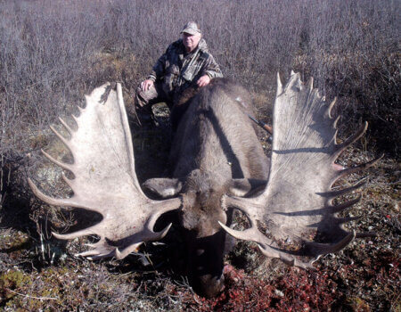 wta_829_KQECZ3_moose3