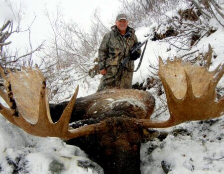 wta_829_MV3JB6_082_moose-1-2