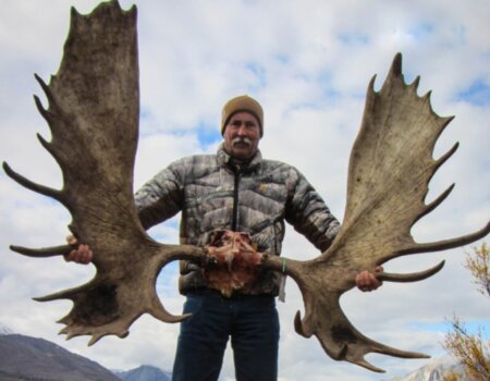 wta_829_S4PC2C_082_moose-1-6