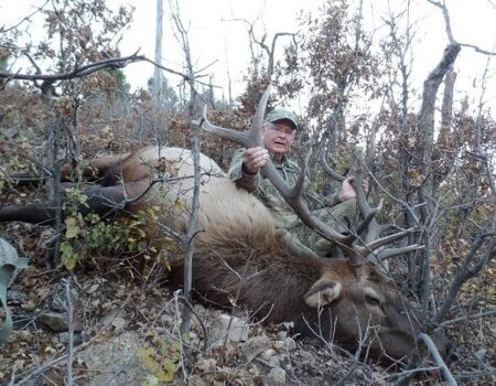 wta_847_6R17DD_CarlDixon2016