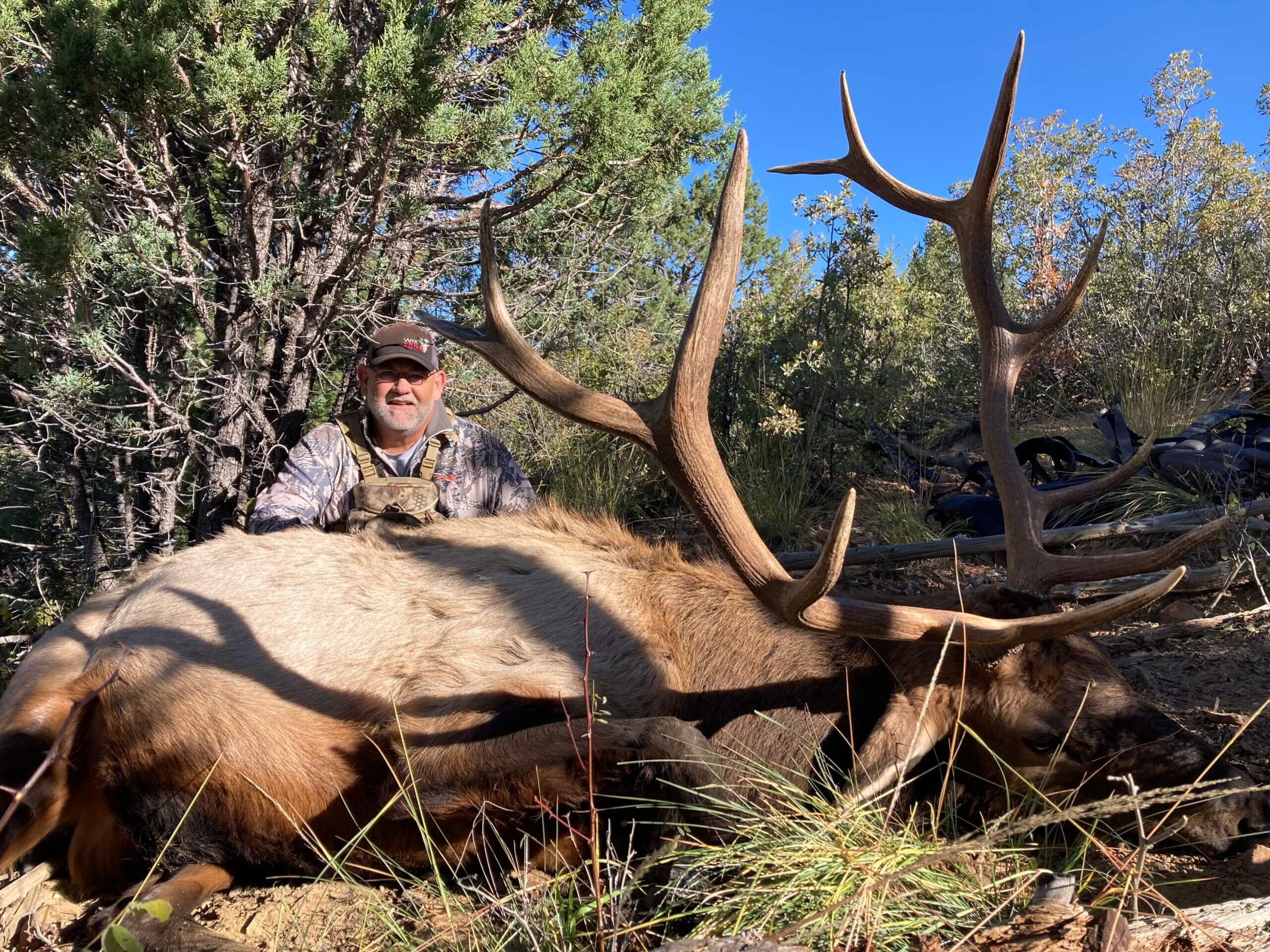 new mexico hunting trips