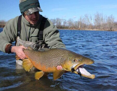 wta_863__featured_7FUVPW_fish-13