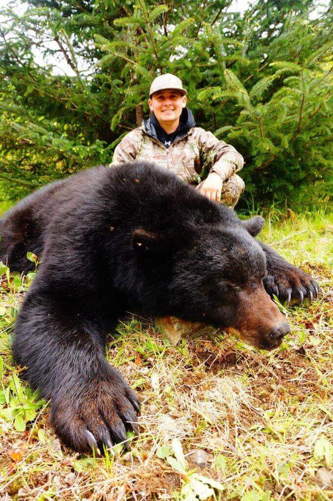 First Class Vancouver Island Black Bear