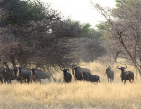 wta_884_KRFP4Z_WALLY2011058(3)