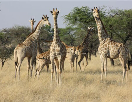 wta_884_UC18X7_WALLY2011051(5)