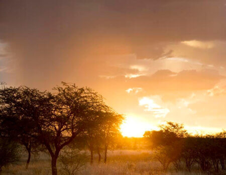 wta_911_H10OPZ_K_Landscape_6