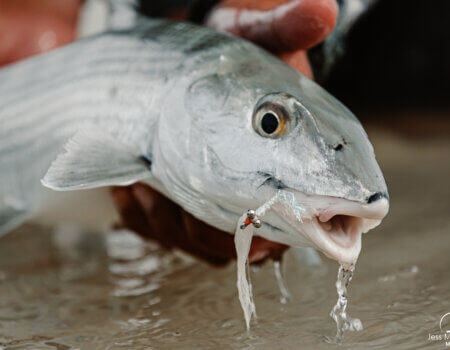 wta_913_McGlothlin_ElPesc_Jan2021107