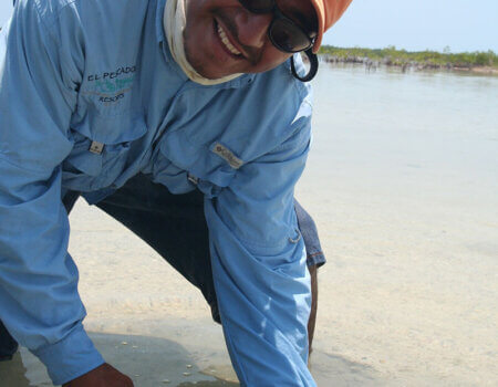 wta_913_OILIBH_Cesarrelease