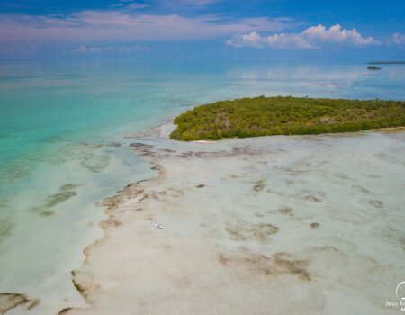 wta_913_image004 (3)