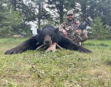 archery black bear
