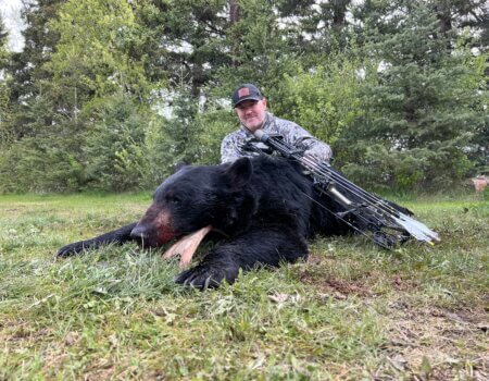 archery black bear