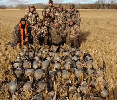 wta_932_HMVGUK_139fowl(9)