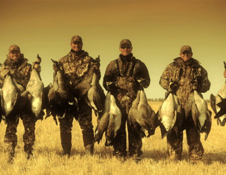 wta_932_ZFVKDO_139fowl(11)