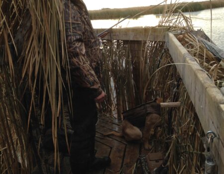 wta_946_IBX396_IMG_0752