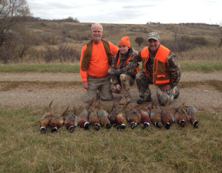 wta_946_LGVAHM_Pheasant