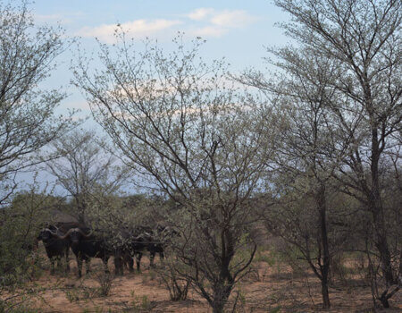 wta_951_O9MY90_DSC_0817