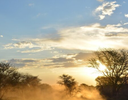 wta_951_VT3T5W_DSC_0796