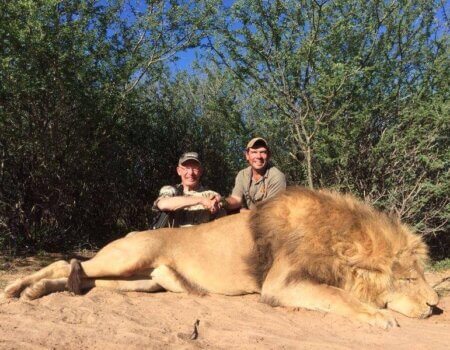 wta_951_XTBAM7_TomGoodwin-lion