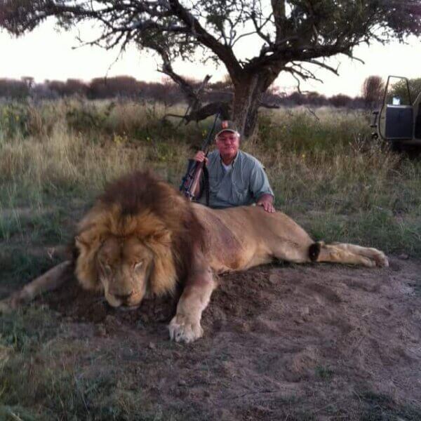 Lion Hunting In South Africa