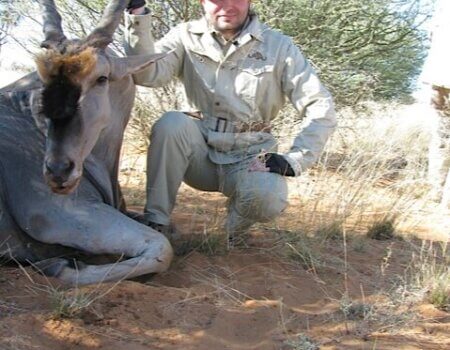 wta_953_XY5NI3_eland