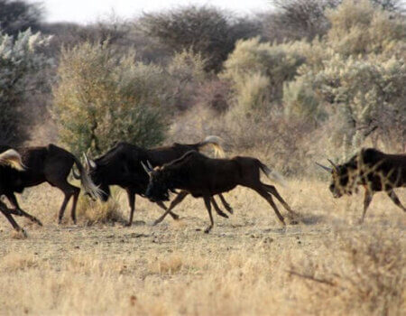 wta_957_HJDCIZ_IMG_1542