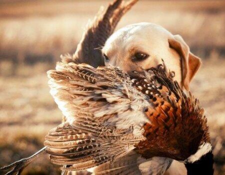 wta_959_0M4BS9__HAF1389