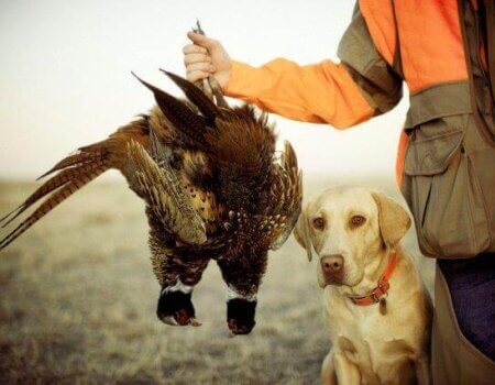 wta_959_7WZ9DC__HAF1845