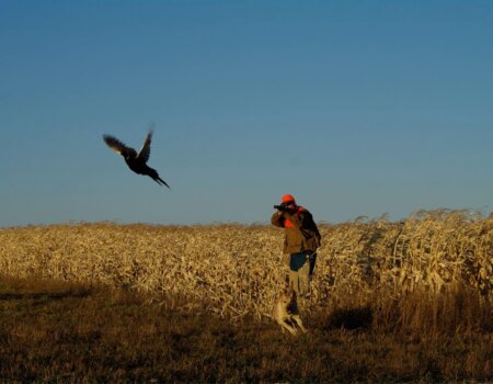 wta_959_8T2QF2_R&RPheasanthunt11-3-09067