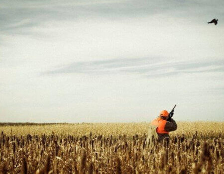 wta_959_XXS5U5__HAF0313