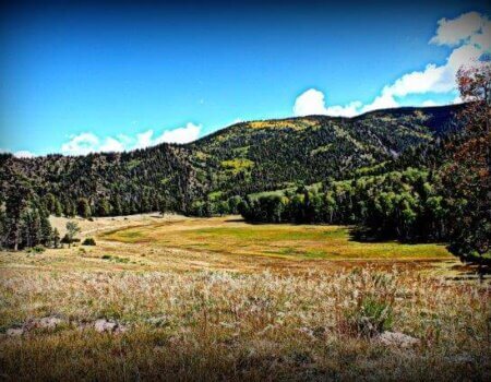 wta_960_G41BNX_IMG_8023