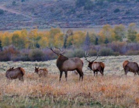 wta_961_SBPBNW_photo_server(2)