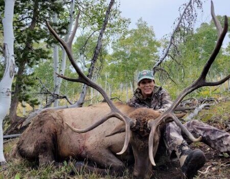 Wyoming Elk Southern Nonresident Region
