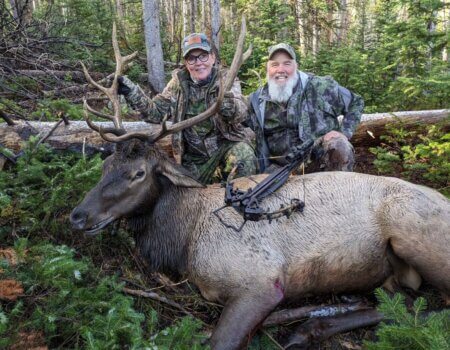 wta_968_image000000 (6)