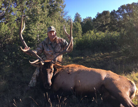 wta_972_2EZZWO_IMG_0795