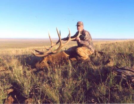 wta_972_8P8Z59_PerryRogersfixed