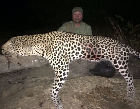 wta_977_9TF1SX_leopardryan