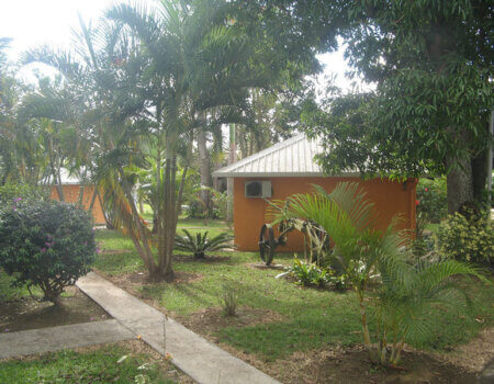 wta_984_645V4O_IMG_0090