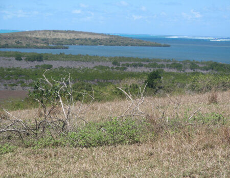 wta_984_FIFTKG_IMG_0092