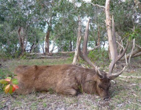 wta_984_TYMJNH_P1010571