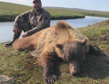 wta_988_SBVUKU_grizzly.jpg