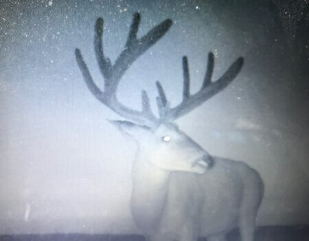 wta_989_1LZXRW_IMG_1653