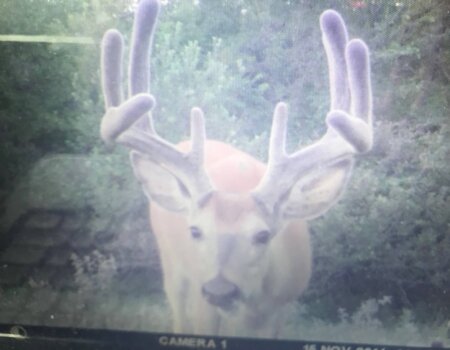 wta_989_INBYA1_IMG_1627